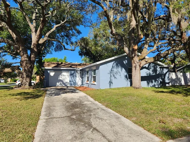 a view of a house with a yard and large tree