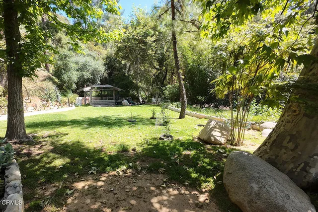 a view of a tree in a yard