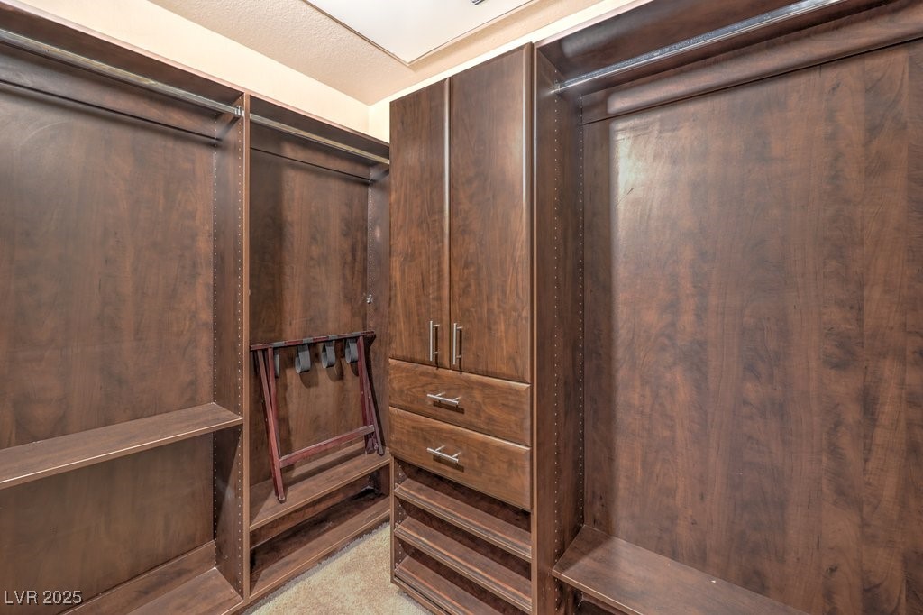 270 East Flamingo Road, Unit 115 Las Vegas, NV 89169 - Photo 19 of 29 View of spacious closet