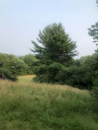 $159,900 | Lot 4 Belvedere Road, Gilsum, NH 03448