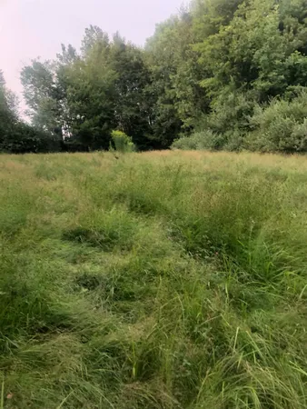 $159,900 | Lot 4 Belvedere Road, Gilsum, NH 03448