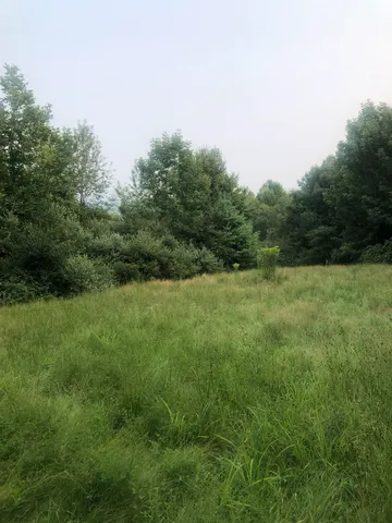 $169,900 | Lot 4 Belvedere Road, Gilsum, NH 03448