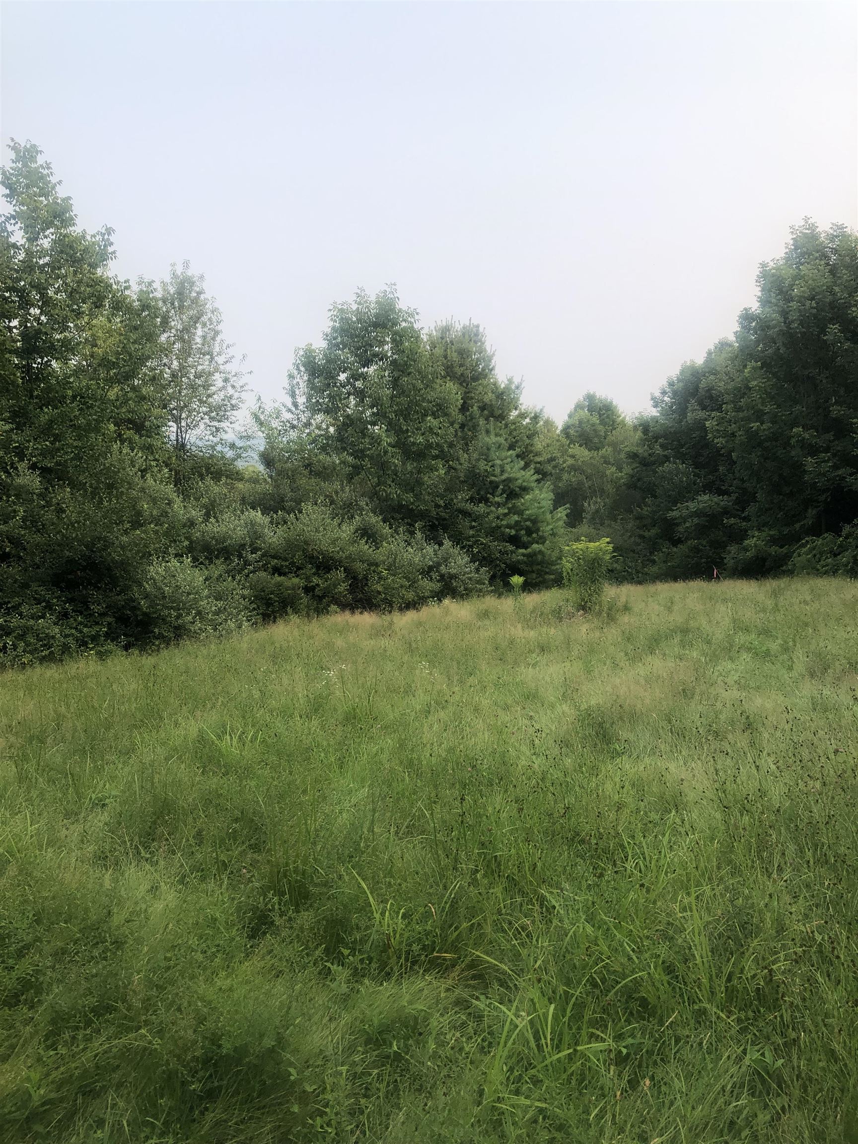 Lot 4 Belvedere Road Gilsum, NH 03448 - Photo 3 of 9