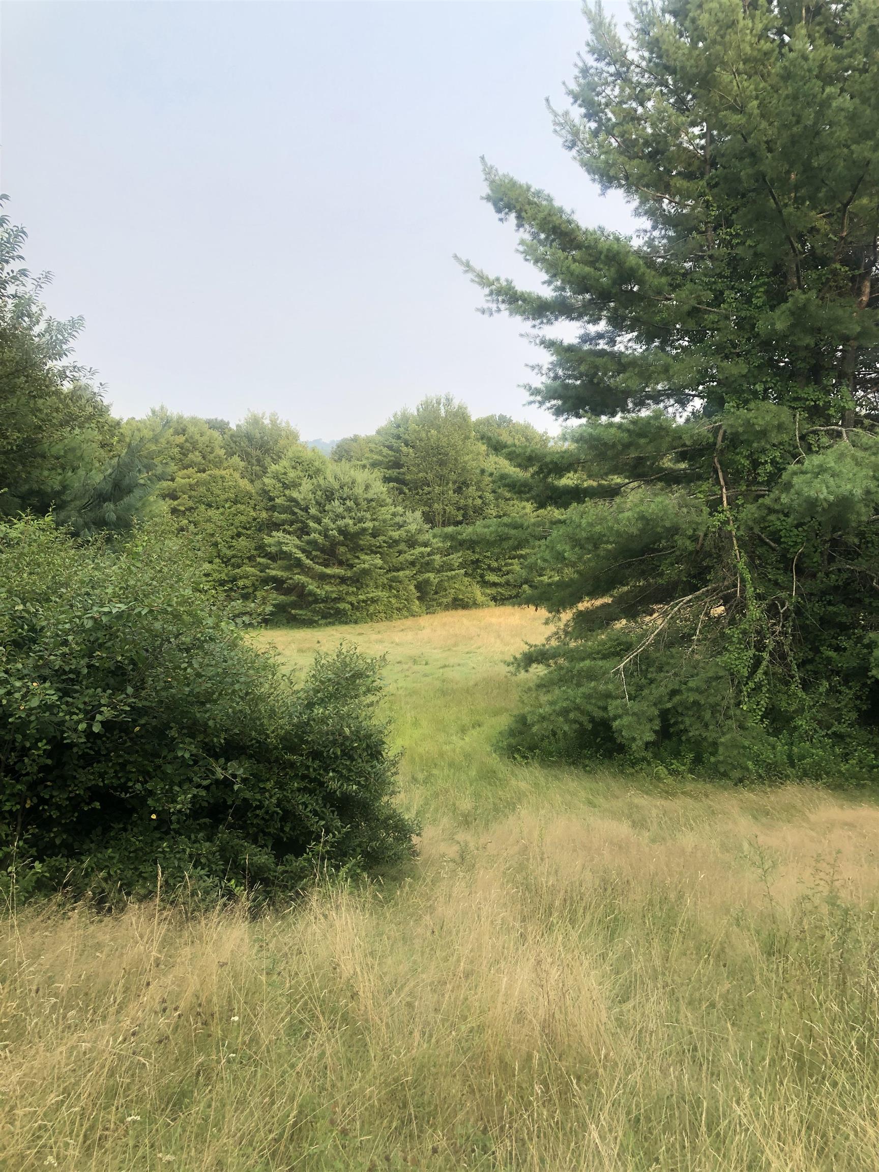 Lot 4 Belvedere Road Gilsum, NH 03448 - Photo 4 of 9