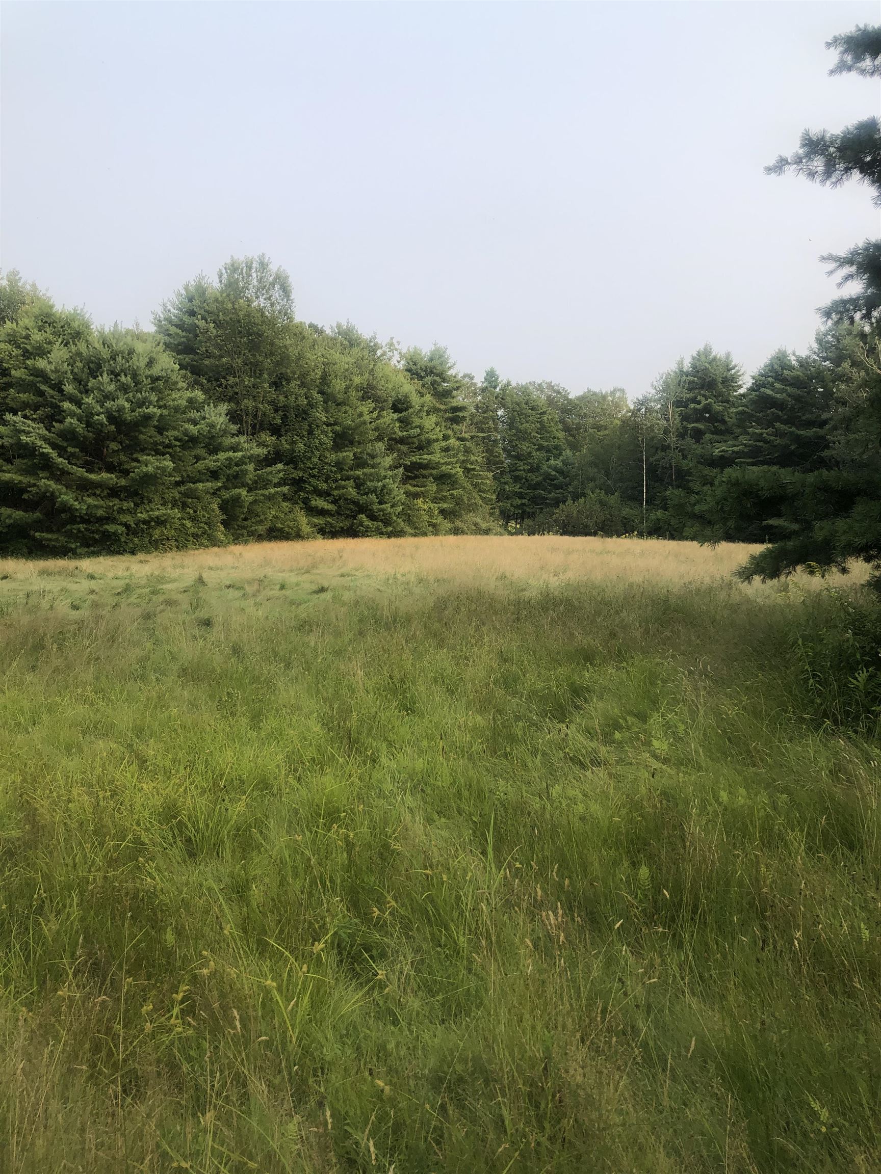 Lot 4 Belvedere Road Gilsum, NH 03448 - Photo 5 of 9