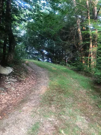 $159,900 | Lot 4 Belvedere Road, Gilsum, NH 03448