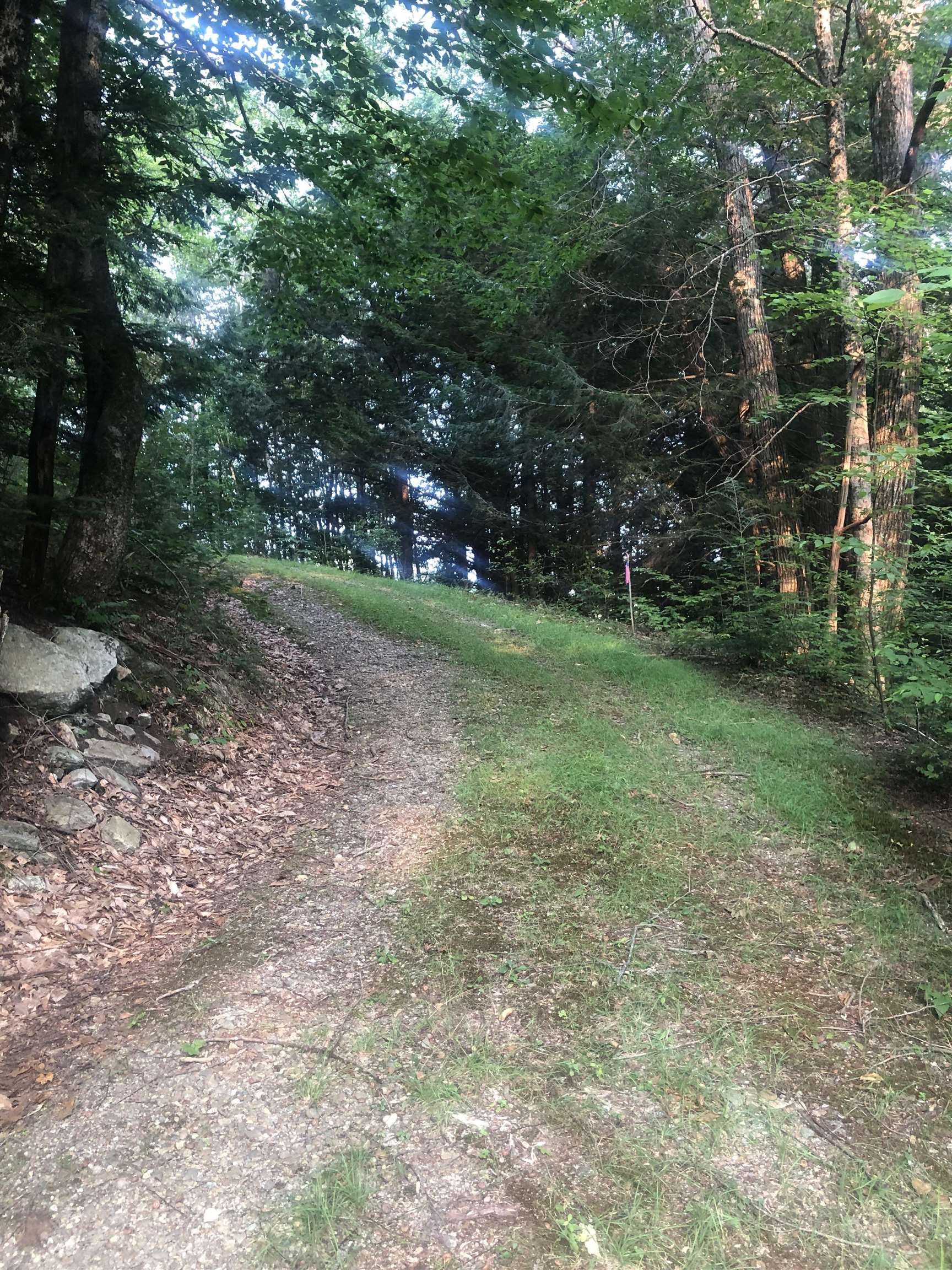 Lot 4 Belvedere Road Gilsum, NH 03448 - Photo 6 of 9