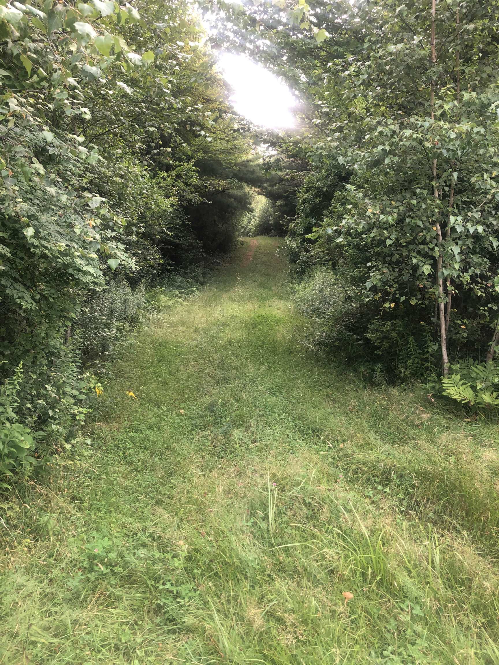 Lot 4 Belvedere Road Gilsum, NH 03448 - Photo 7 of 9