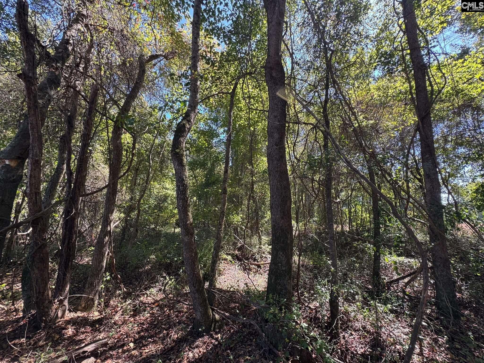 St Matthews Church Road Sumter, SC 29153 - Photo 26 of 34 Gallery Image 26