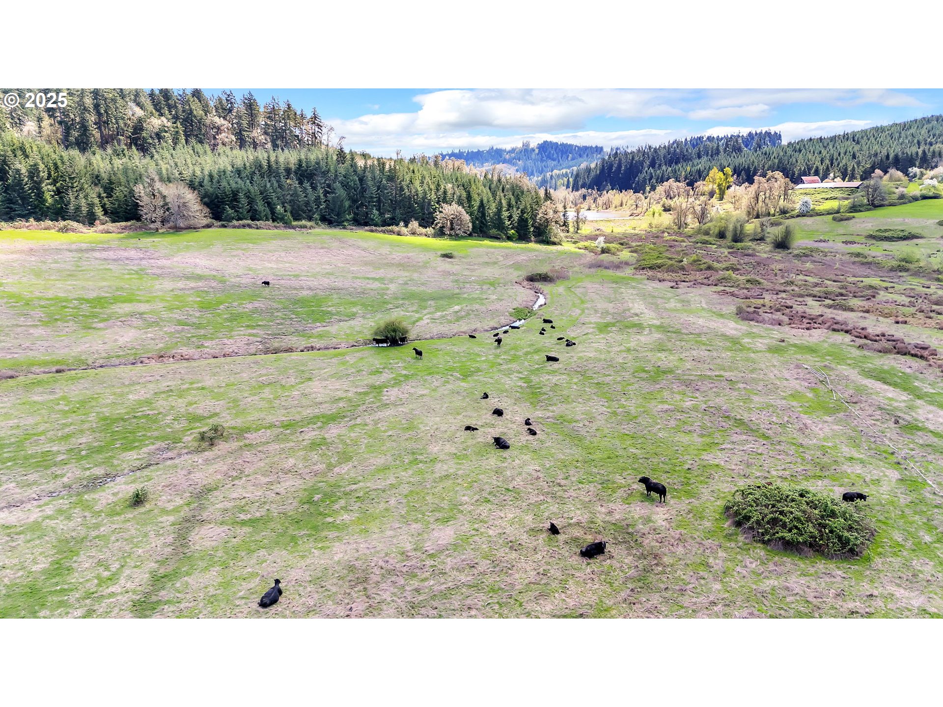 26900 Crow Road Eugene, OR 97405 - Photo 44 of 48