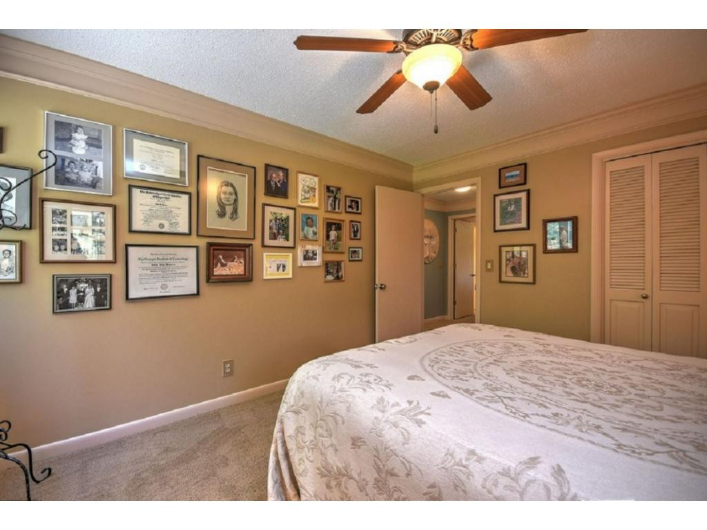 373 Cedar Branch Road Kingsport, TN 37664 - Photo 24 of 36 Photo 24