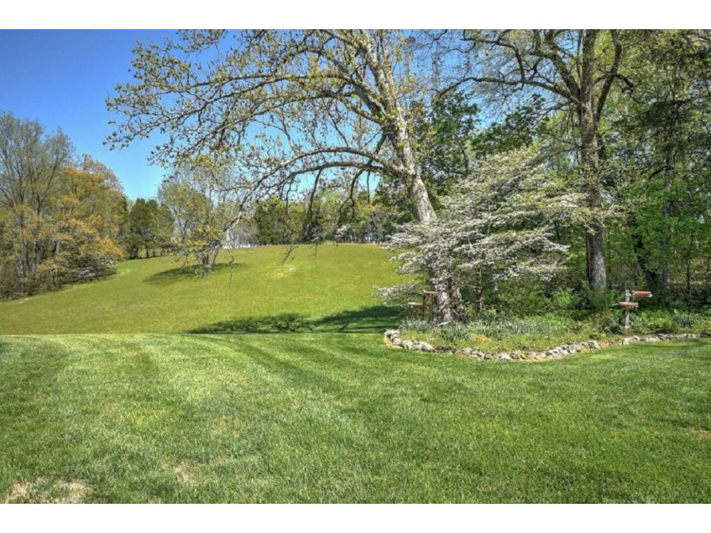 373 Cedar Branch Road Kingsport, TN 37664 - Photo 36 of 36 Photo 36