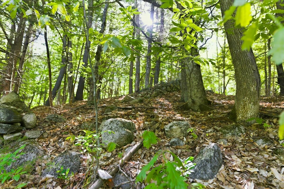 263 Number Six Road Oxford, ME 04270 - Photo 35 of 72 035-1_Landscape 17