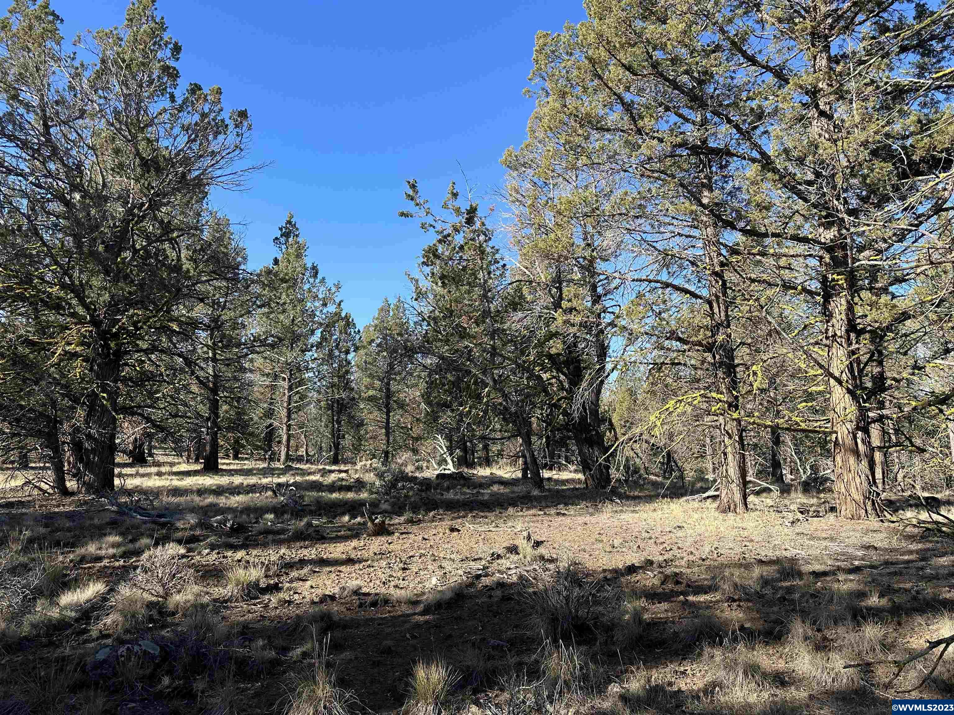 1300 Fishhole Creek Road Bly, OR 97622 - Photo 2 of 25