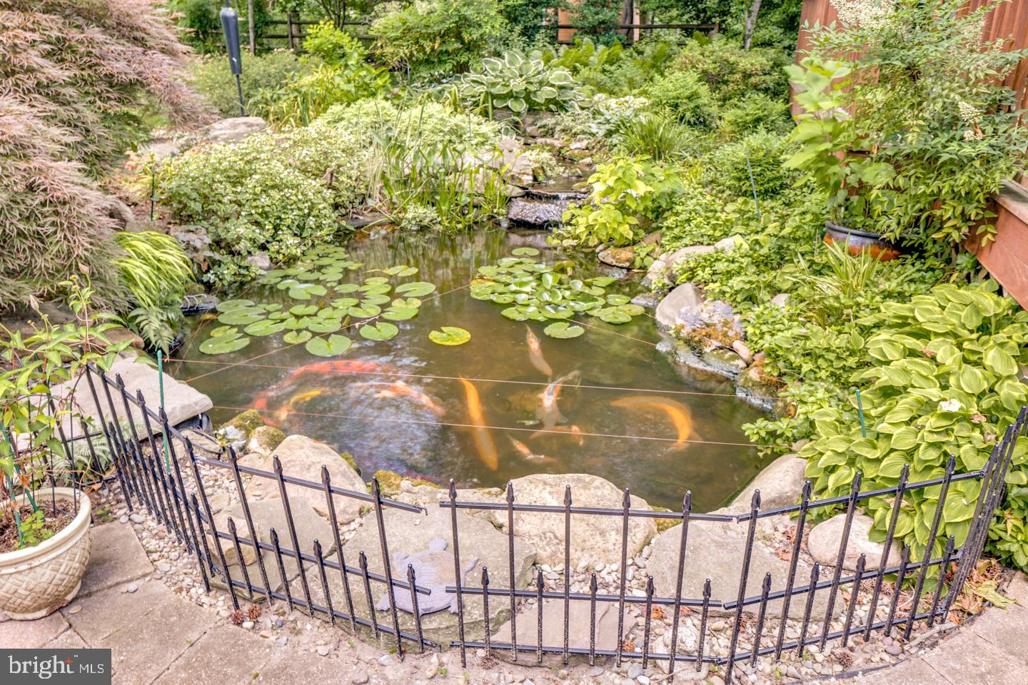 4 Bennington Drive Medford, NJ 08055 - Photo 34 of 44 Koi pond