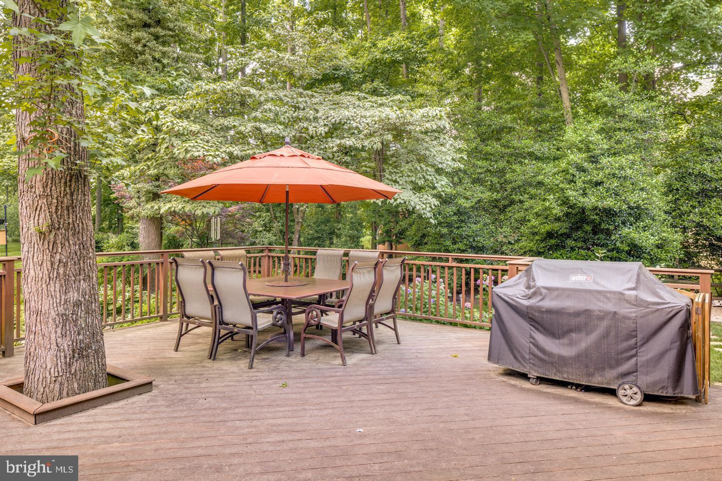 4 Bennington Drive Medford, NJ 08055 - Photo 40 of 44