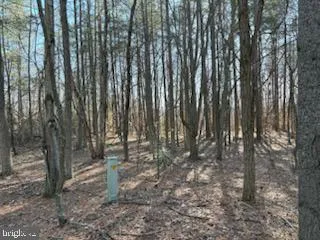 a view of a road with a building in the background