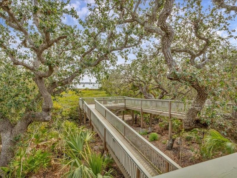 7475 Manasota Key Road Englewood, FL 34223 - Photo 31 of 79 a view of a yard with plants