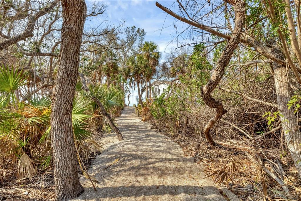 7475 Manasota Key Road Englewood, FL 34223 - Photo 51 of 79 a view of a yard with plants and trees