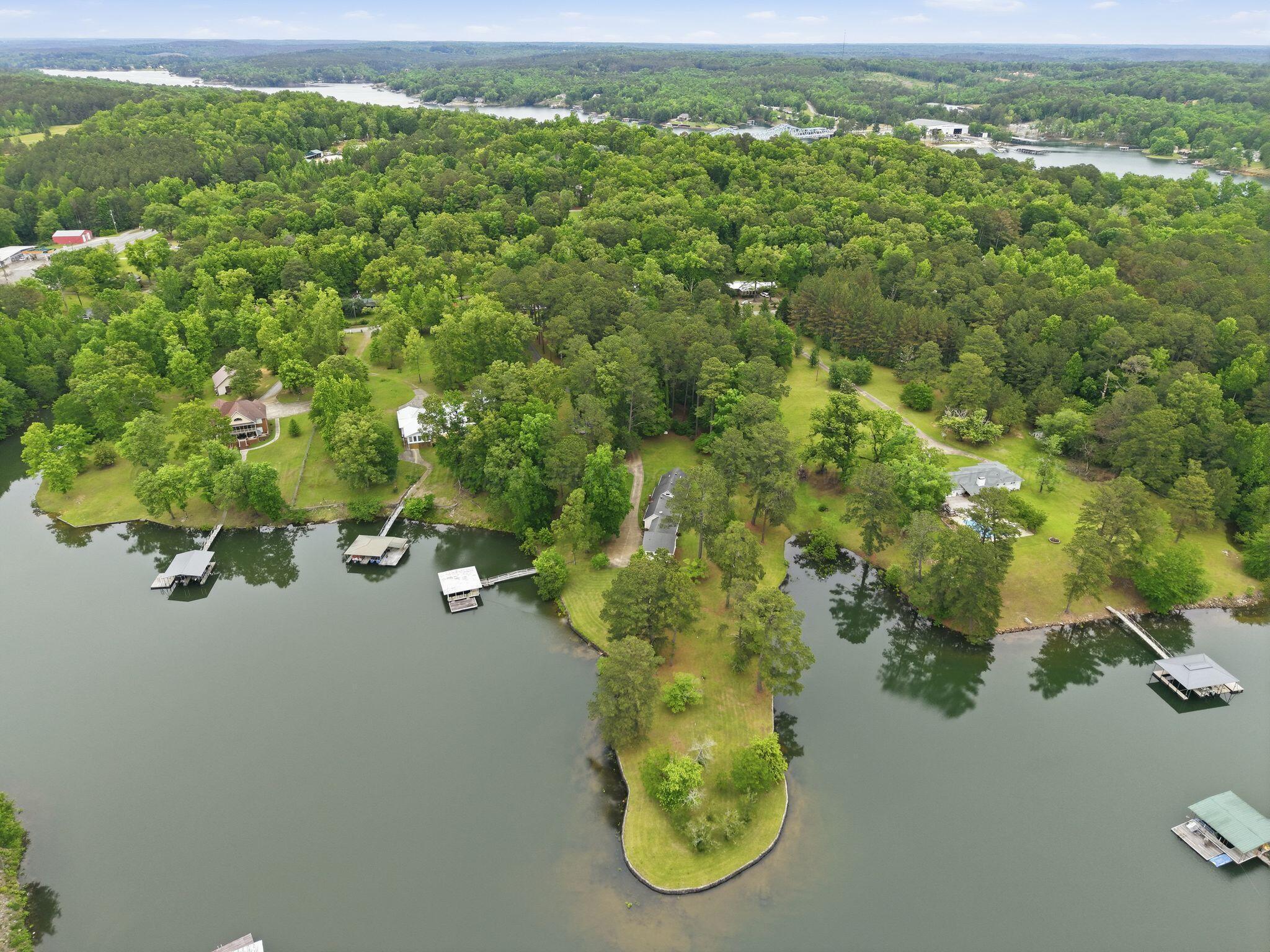 140 Burtwood Acres Road Jasper, AL 35503 - Photo 1 of 45 Aerial