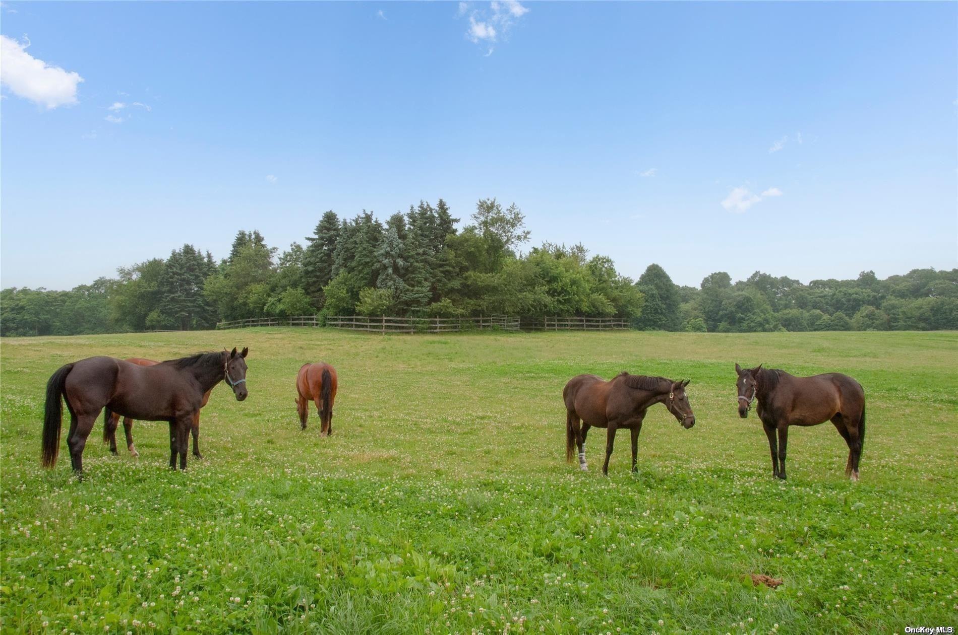 1386 Main Road Jamesport, NY 11901 - Photo 5 of 7 a view of a lake with houses in the back