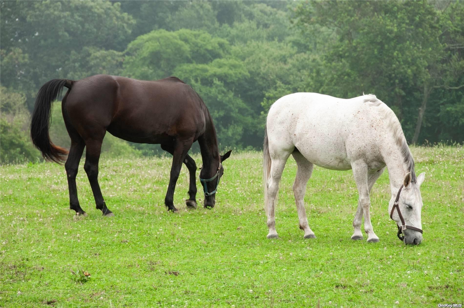 1386 Main Road Jamesport, NY 11901 - Photo 6 of 7 a view of two chairs and a table in a yard