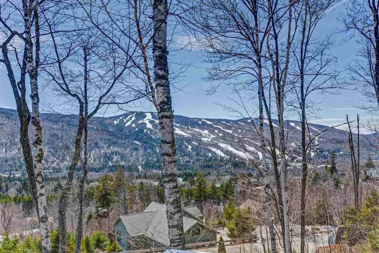 145 Dartmouth Ridge Road Twin Mountain, NH 03595 - Photo 4 of 40 Gallery Image 4