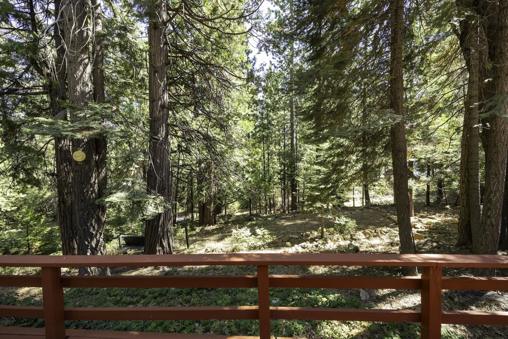 41080 Putt Road Emigrant Gap, CA 95715 - Photo 16 of 21 a view of a yard