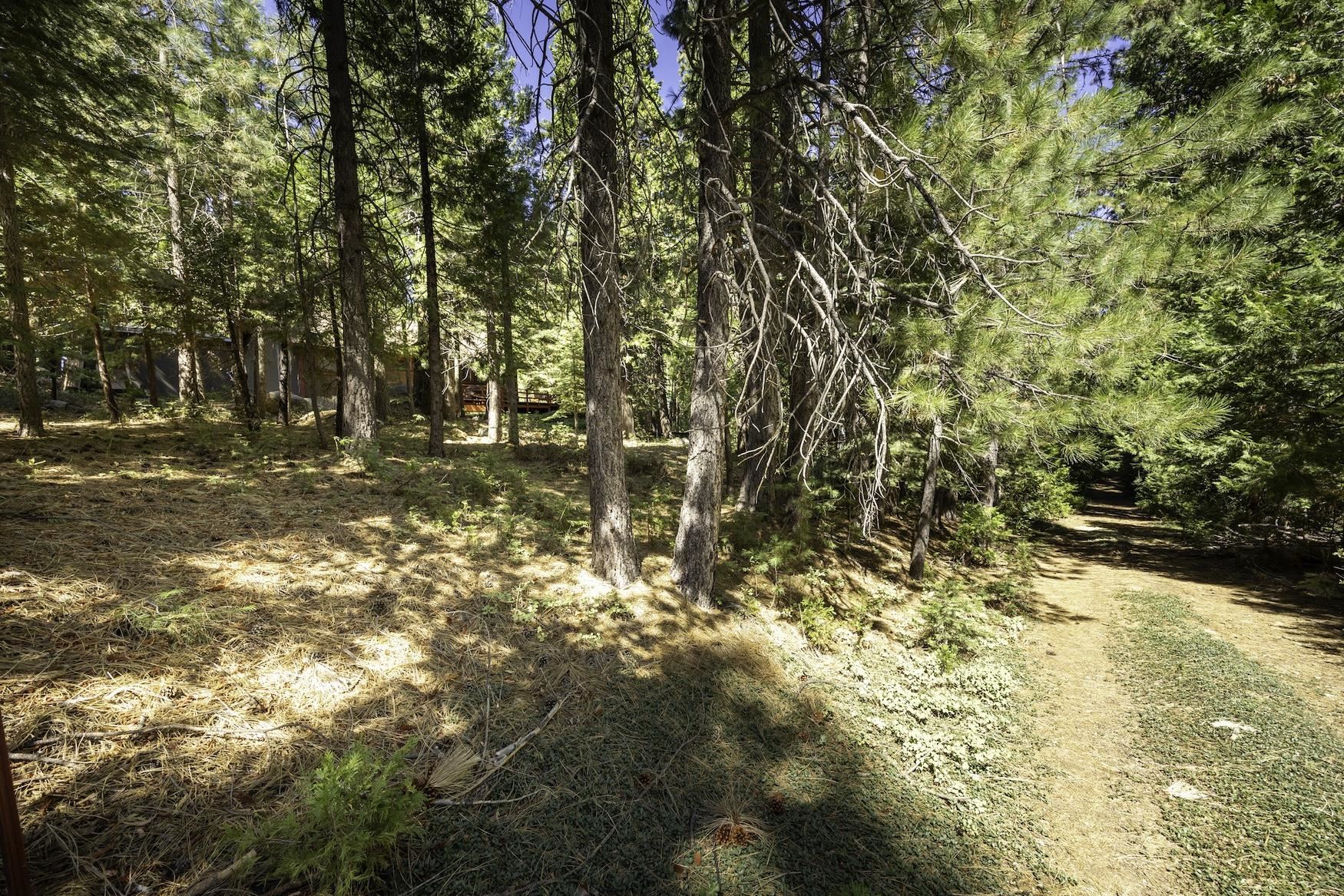 41080 Putt Road Emigrant Gap, CA 95715 - Photo 19 of 21 a view of empty yard with trees