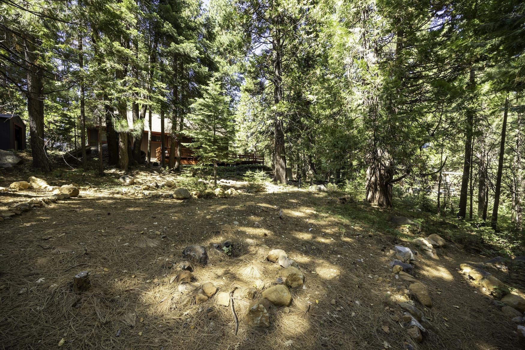 41080 Putt Road Emigrant Gap, CA 95715 - Photo 20 of 21 a view of outdoor space with trees
