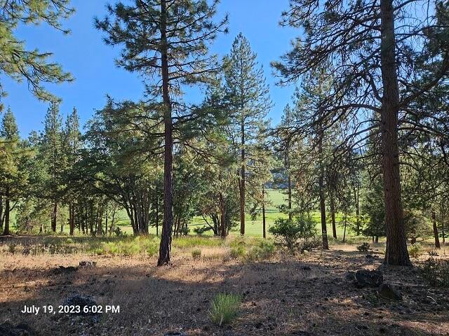 Lot 103 Merganser Road Klamath Falls, OR 97601 - Photo 3 of 6 1