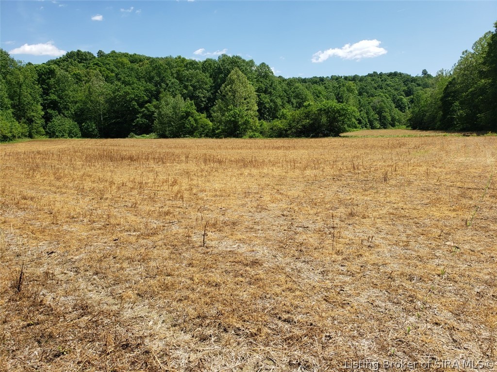 East Side N Lick Skillet Road Vallonia, IN 47281 - Photo 2 of 7