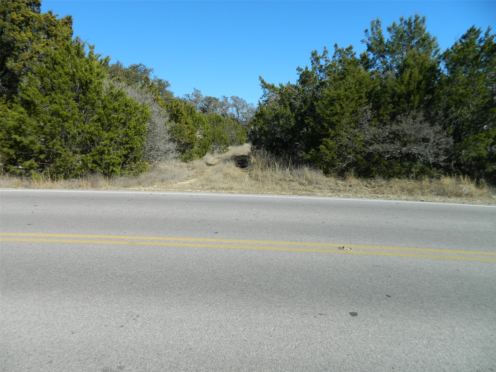 5100 Outpost Trace Leander, TX 78645 - Photo 5 of 6 a view of a road with a trees all around