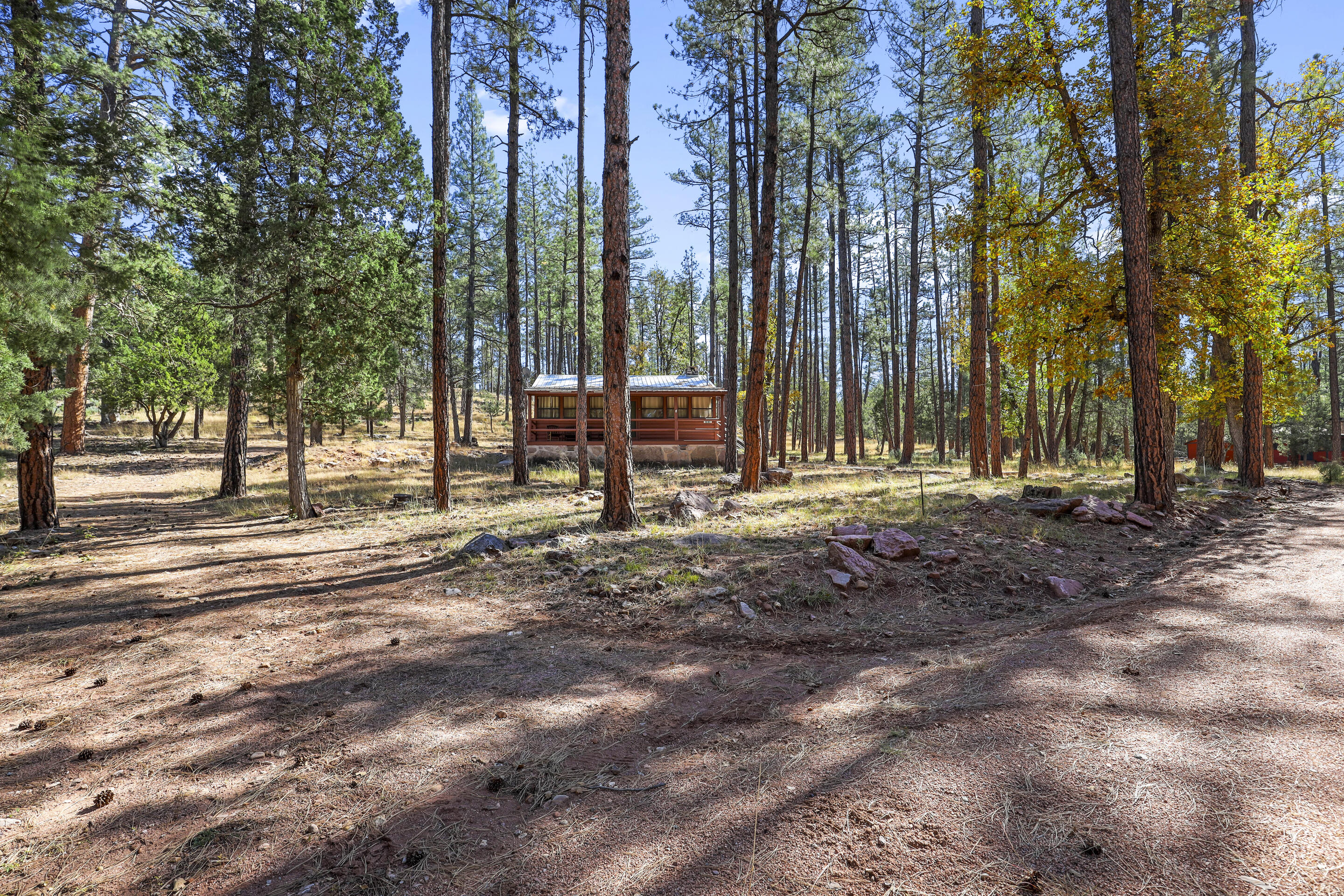 383 West Diamond Road Payson, AZ 85541 - Photo 29 of 32 mls-1E0A9936 copy