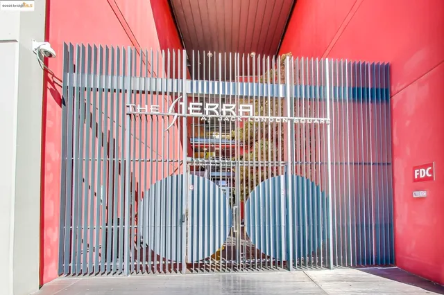 a potted plant sitting in front of a glass door