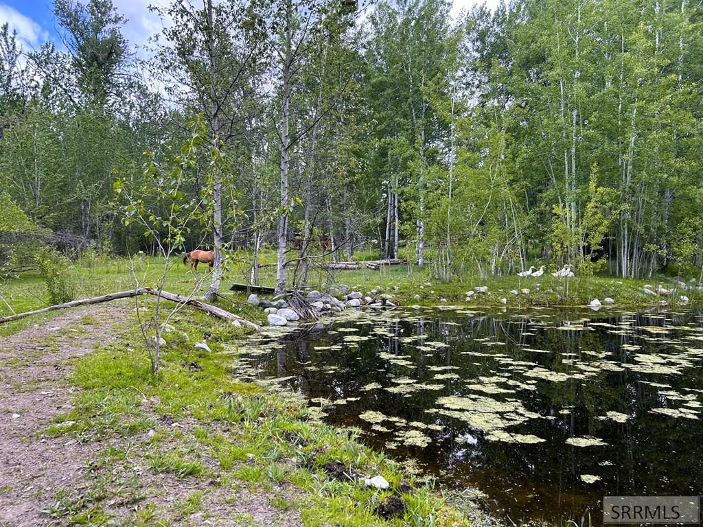 504 Carmen Creek Road Carmen, ID 83462 - Photo 45 of 56