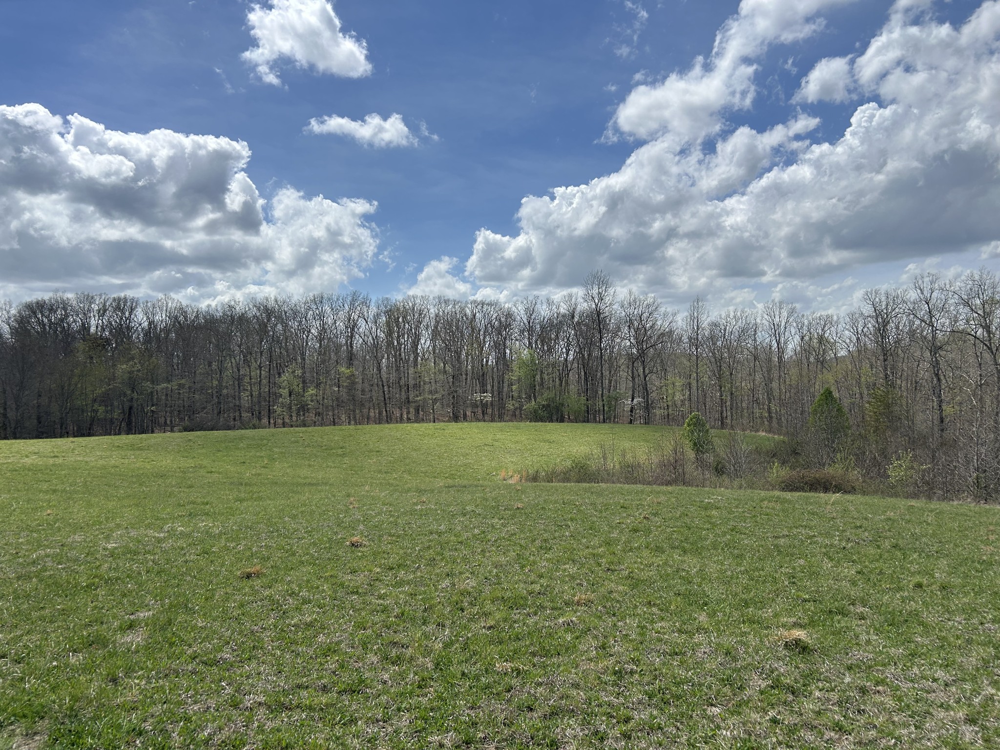 12343 Griffith Road Pikeville, TN 37367 - Photo 19 of 40