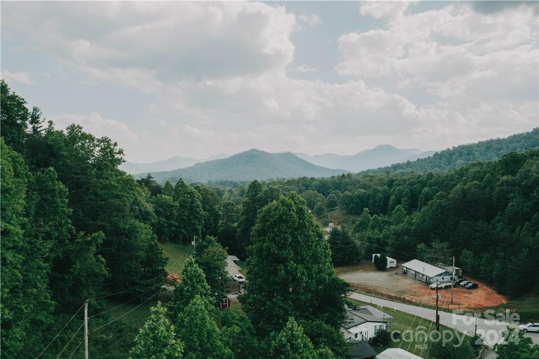 15 Meadows Town Road Marshall, NC 28753 - Photo 18 of 30 Gallery Image 18