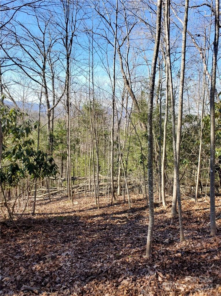 15 Meadows Town Road Marshall, NC 28753 - Photo 24 of 30 Gallery Image 24