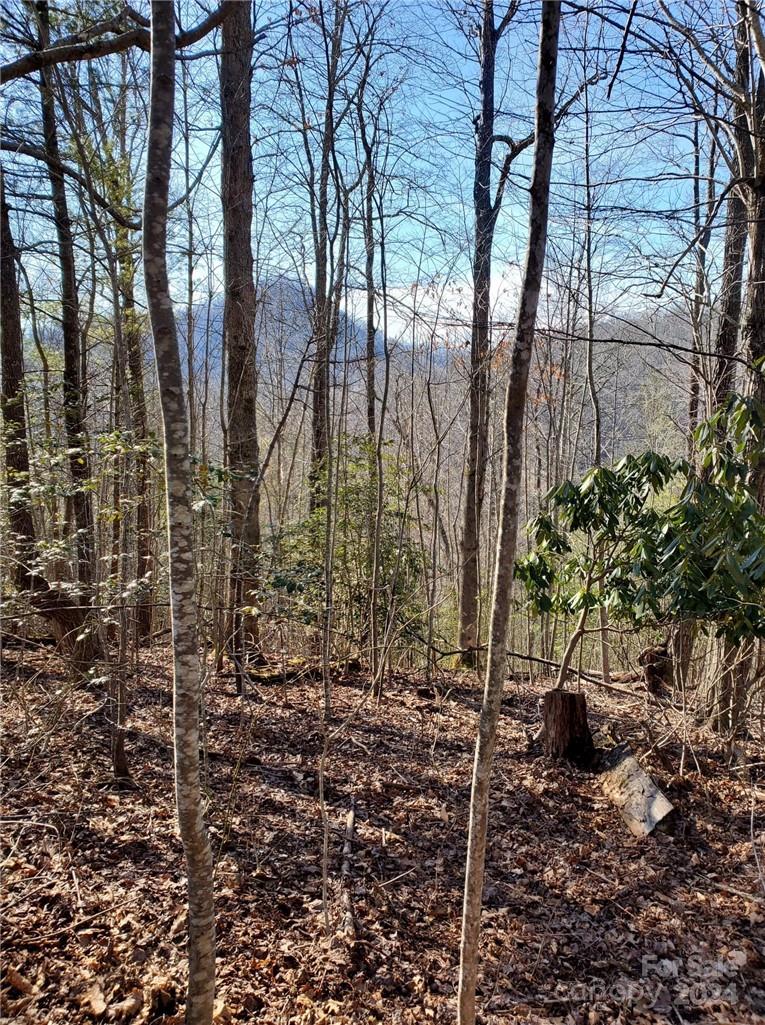 15 Meadows Town Road Marshall, NC 28753 - Photo 28 of 30 Gallery Image 28
