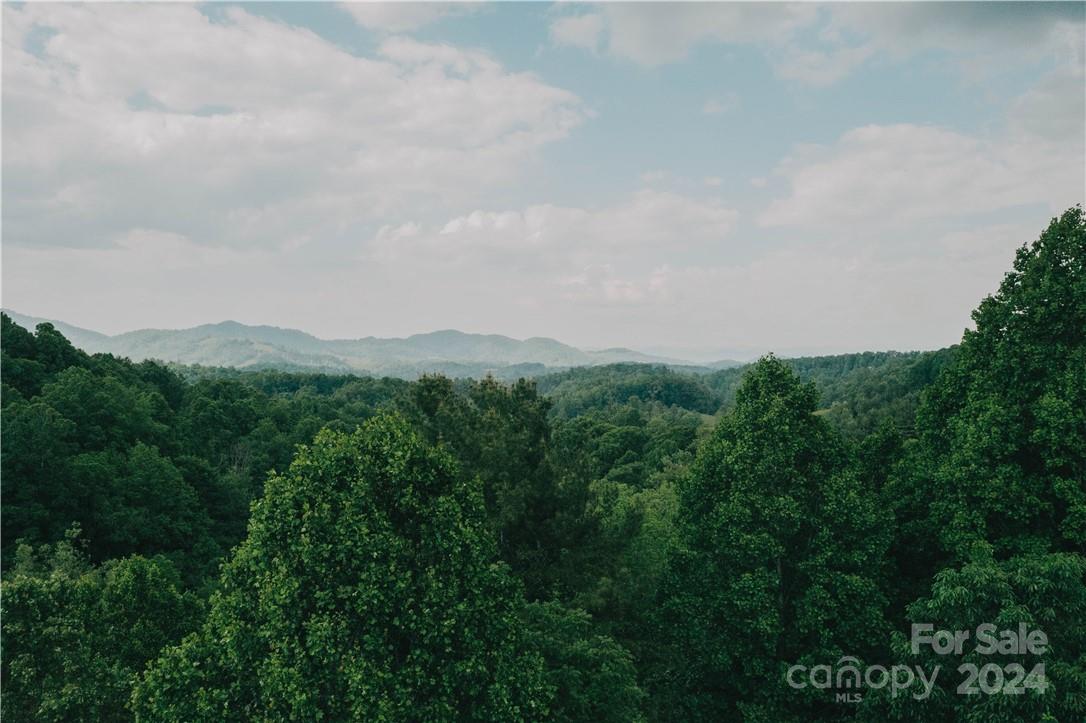 15 Meadows Town Road Marshall, NC 28753 - Photo 10 of 30 Gallery Image 10