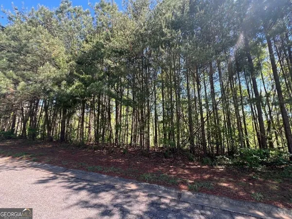 $25,000 | 922 Whistler Lane, Unit 67, Canton, GA 30114