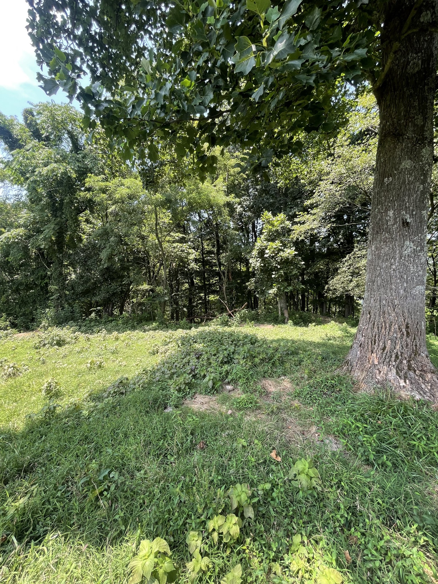 0 Friendship Hollow Road North Pleasant Shade, TN 37145 - Photo 16 of 27 Gallery Image 16