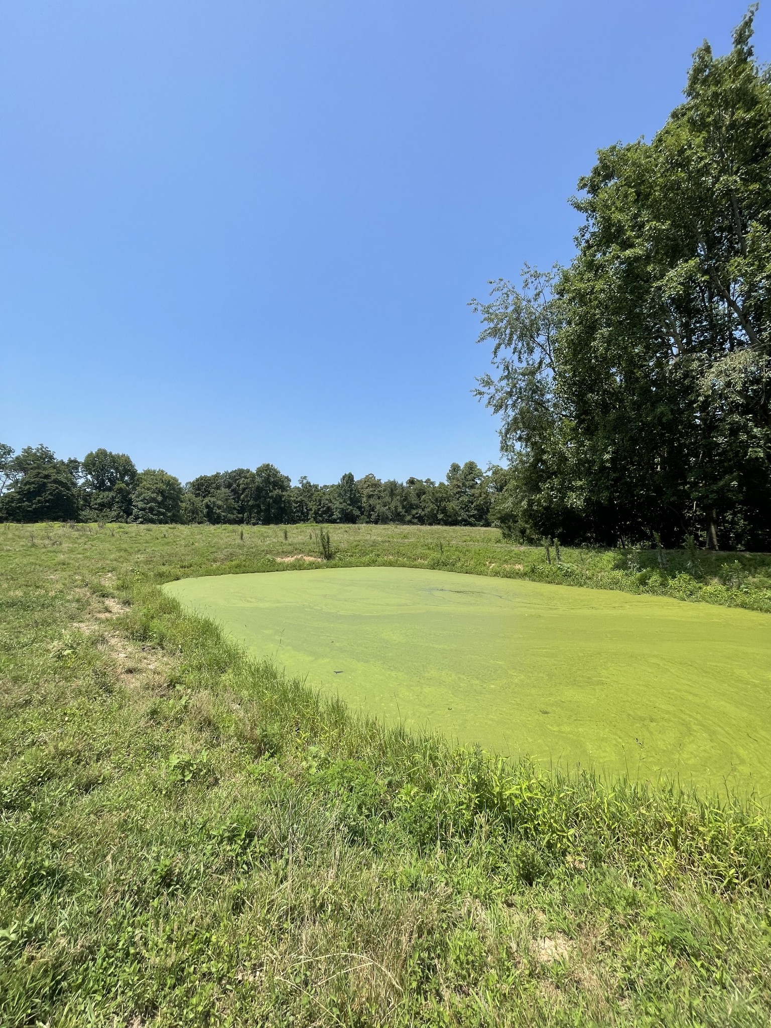 0 Friendship Hollow Road North Pleasant Shade, TN 37145 - Photo 19 of 27 Gallery Image 19