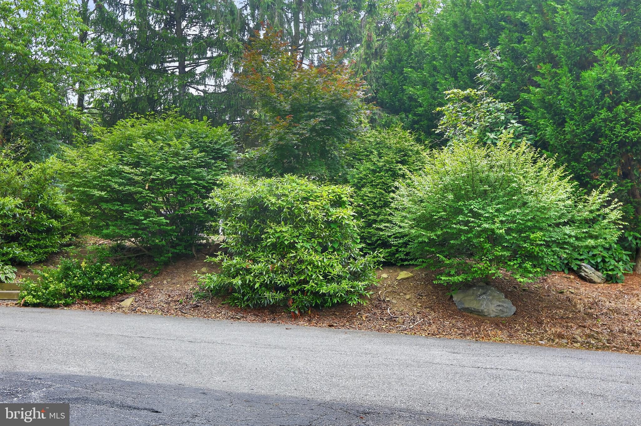 736 Black Rock Road Collegeville, PA 19426 - Photo 26 of 29 Front tree line between private dr and Black Rock