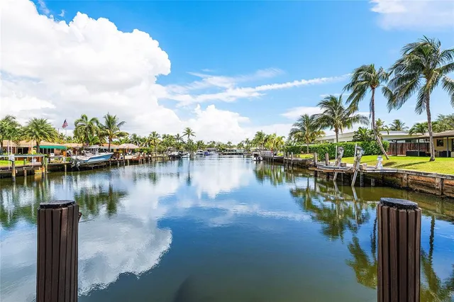 a view of a lake with boats and palm trees