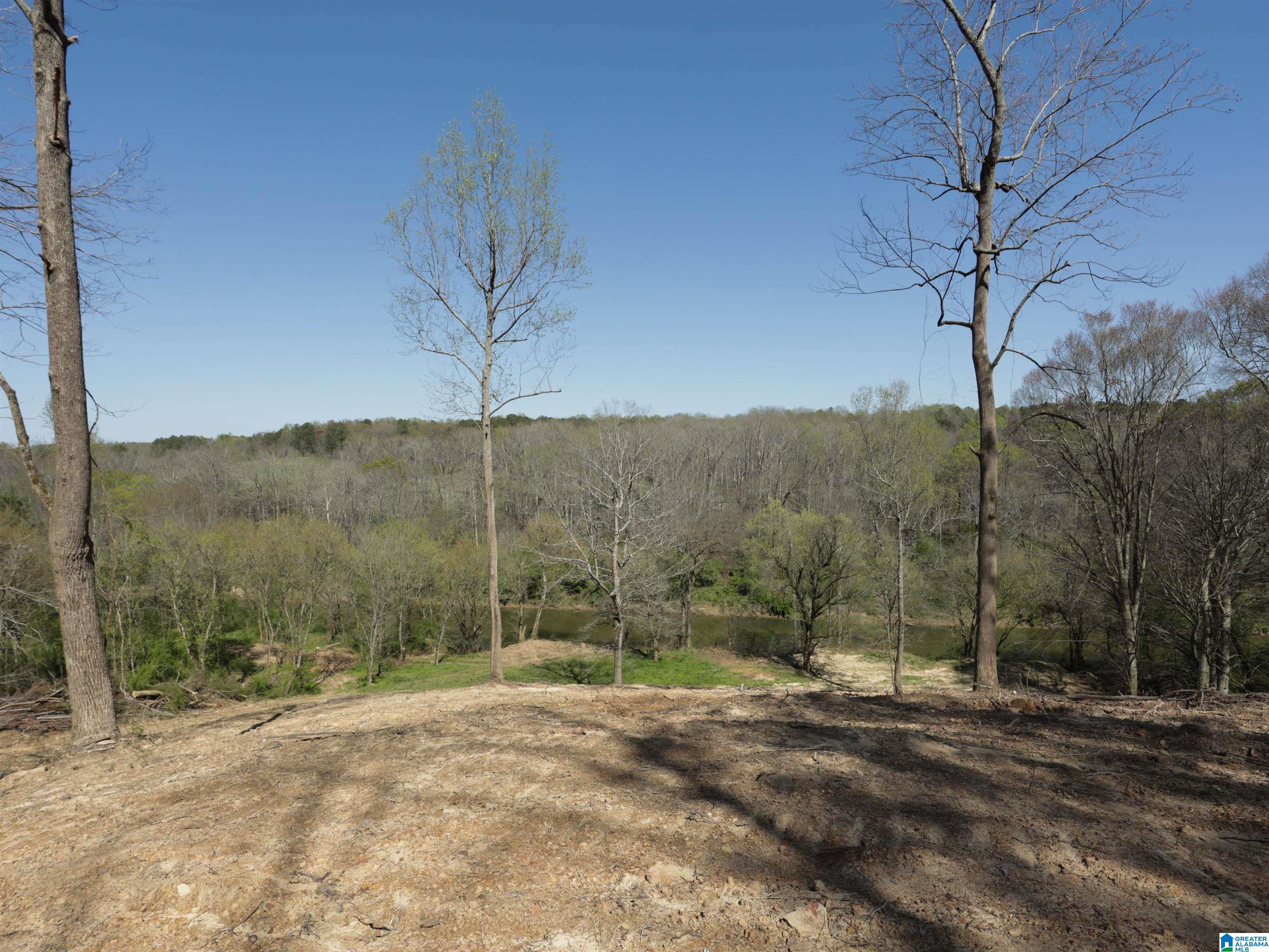 879 Timmerman Road Blountsville, AL 35031 - Photo 62 of 72
