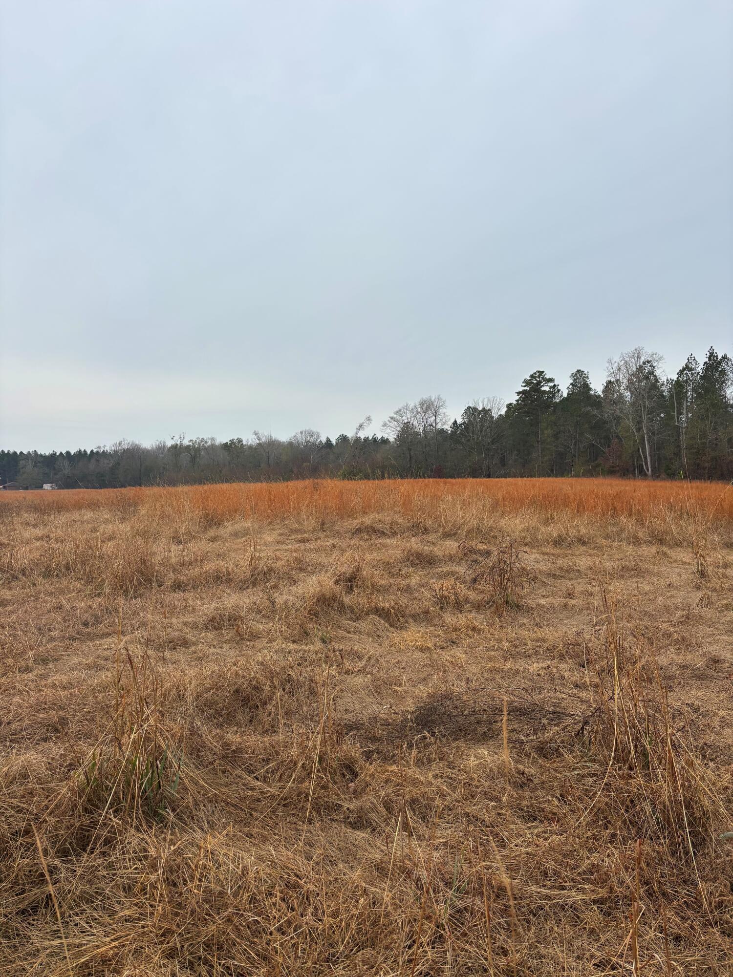 3959 East Cadley Road Norwood, GA 30821 - Photo 1 of 2 Cadley 1