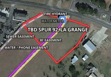 an aerial view of a house with a yard and potted plants