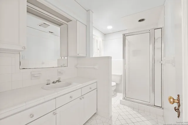 a view of a park with a tree